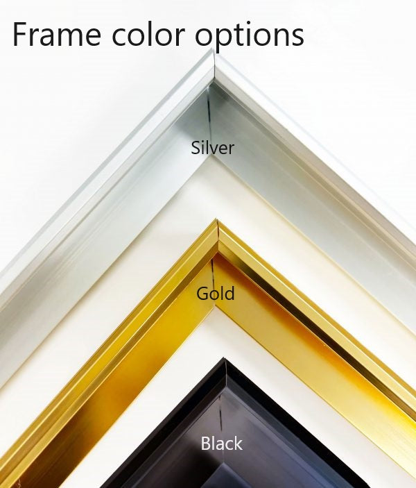 DAZZLING Vivid Color Array Modern Wall Art