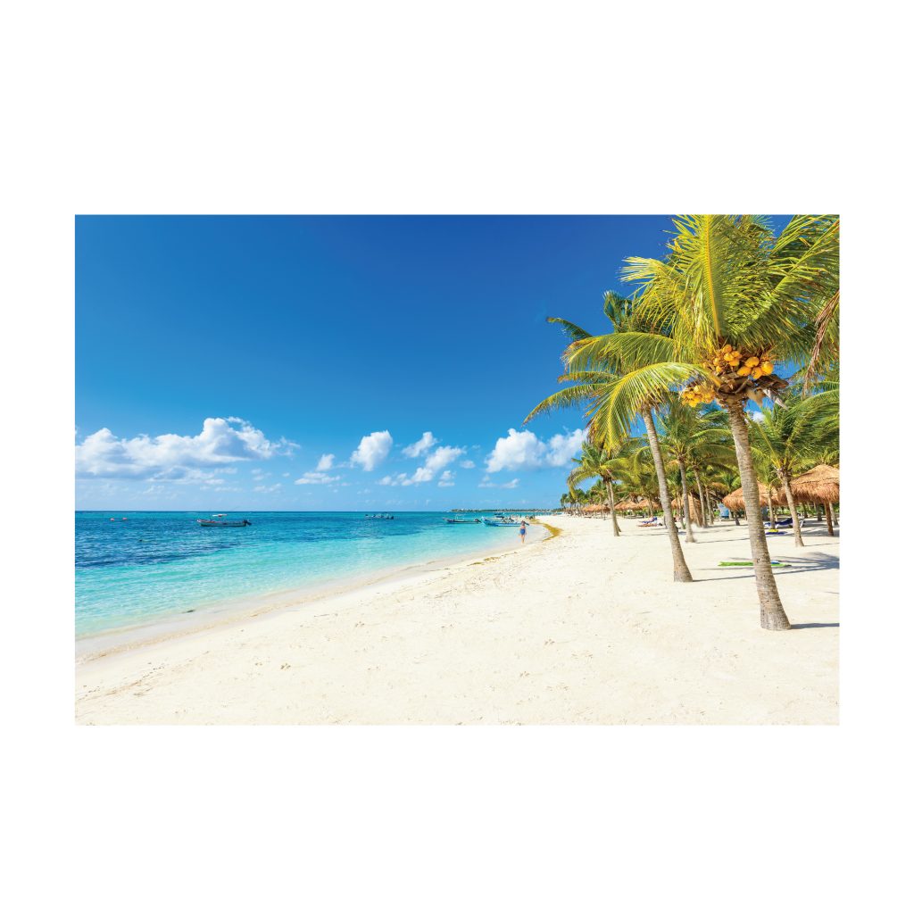 LUSH Coconut Palms on White Sands Modern Wall Art