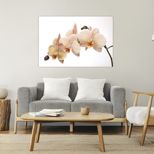 VANILLA Orchid Radiance Modern Wall Art
