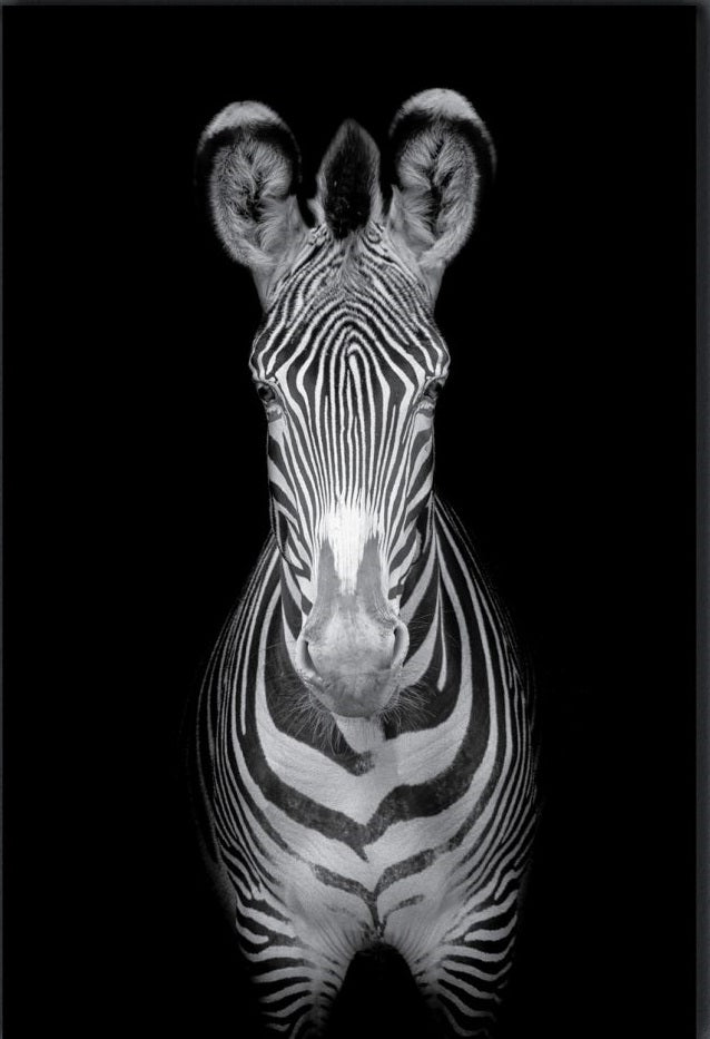 GREVY Zebra Mono Modern Wall Art