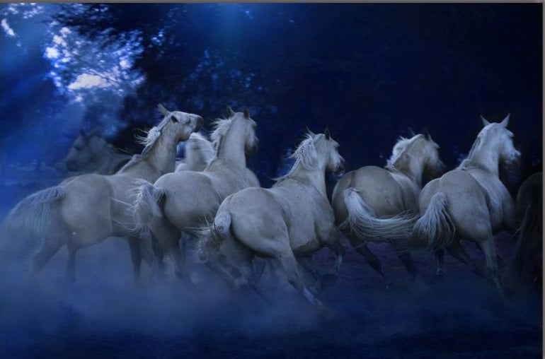 EQUINE Horse Running Modern Wall Art