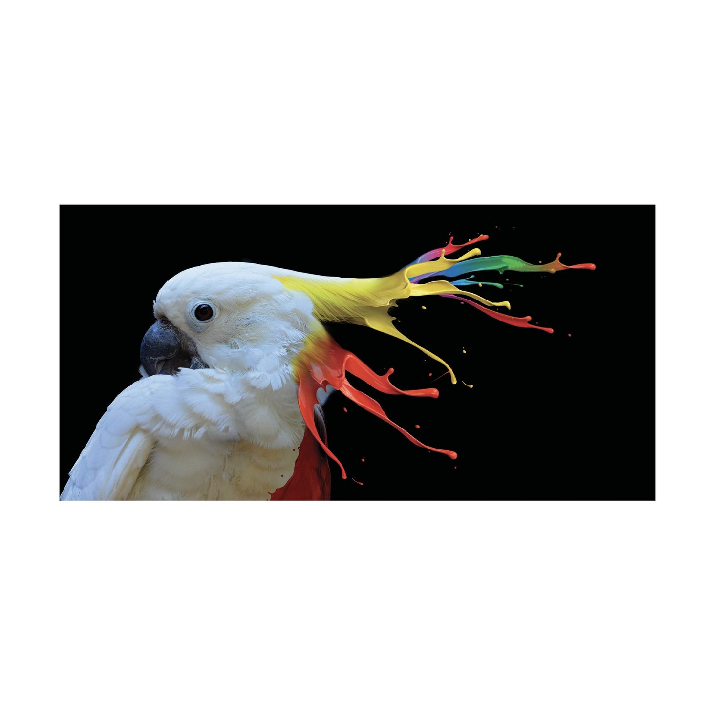 SUNBEAM Colorful-Crested Cockatoo Modern Wall Art