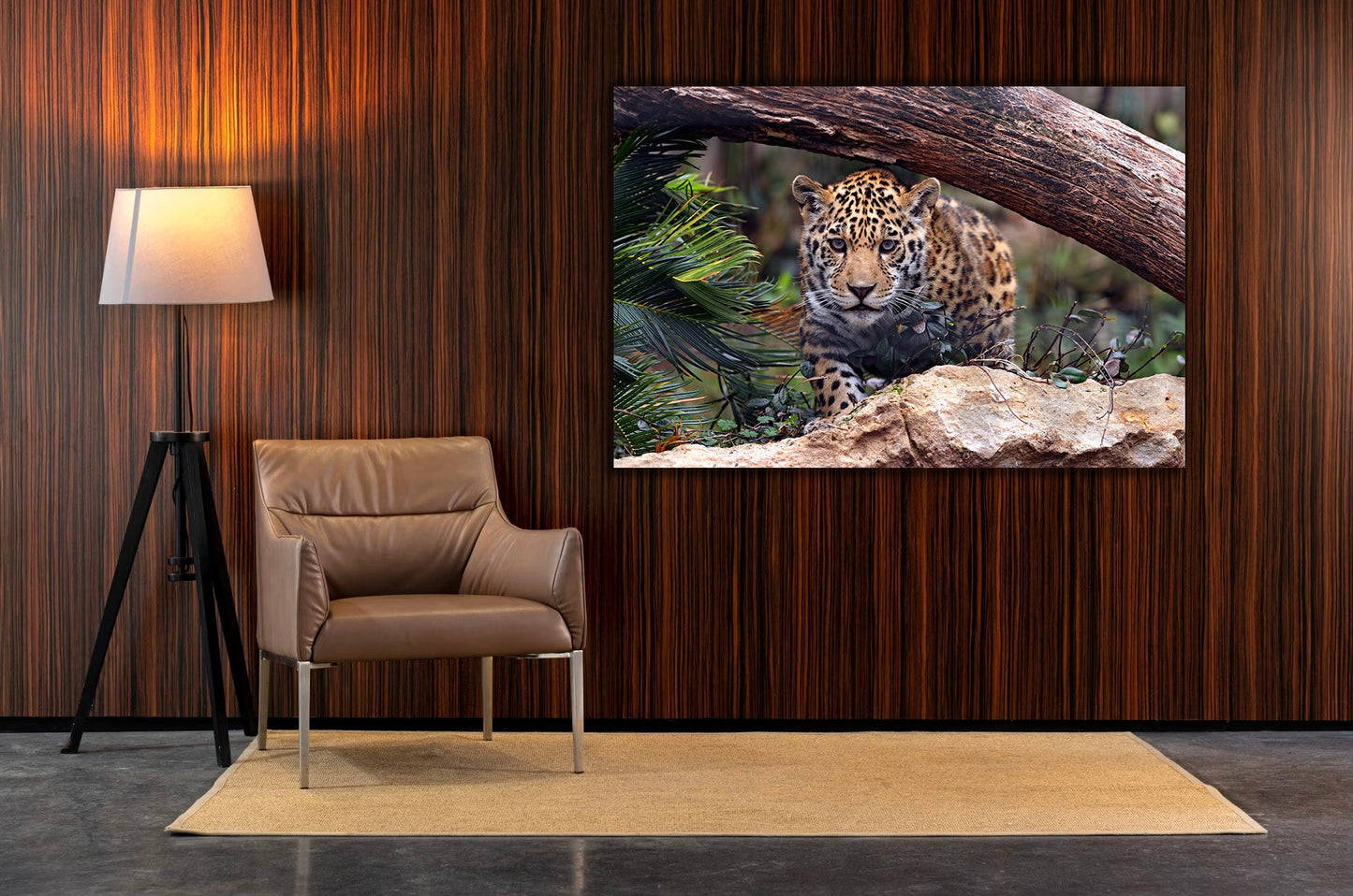 SAFARI Baby Jaguar Modern Wall Art