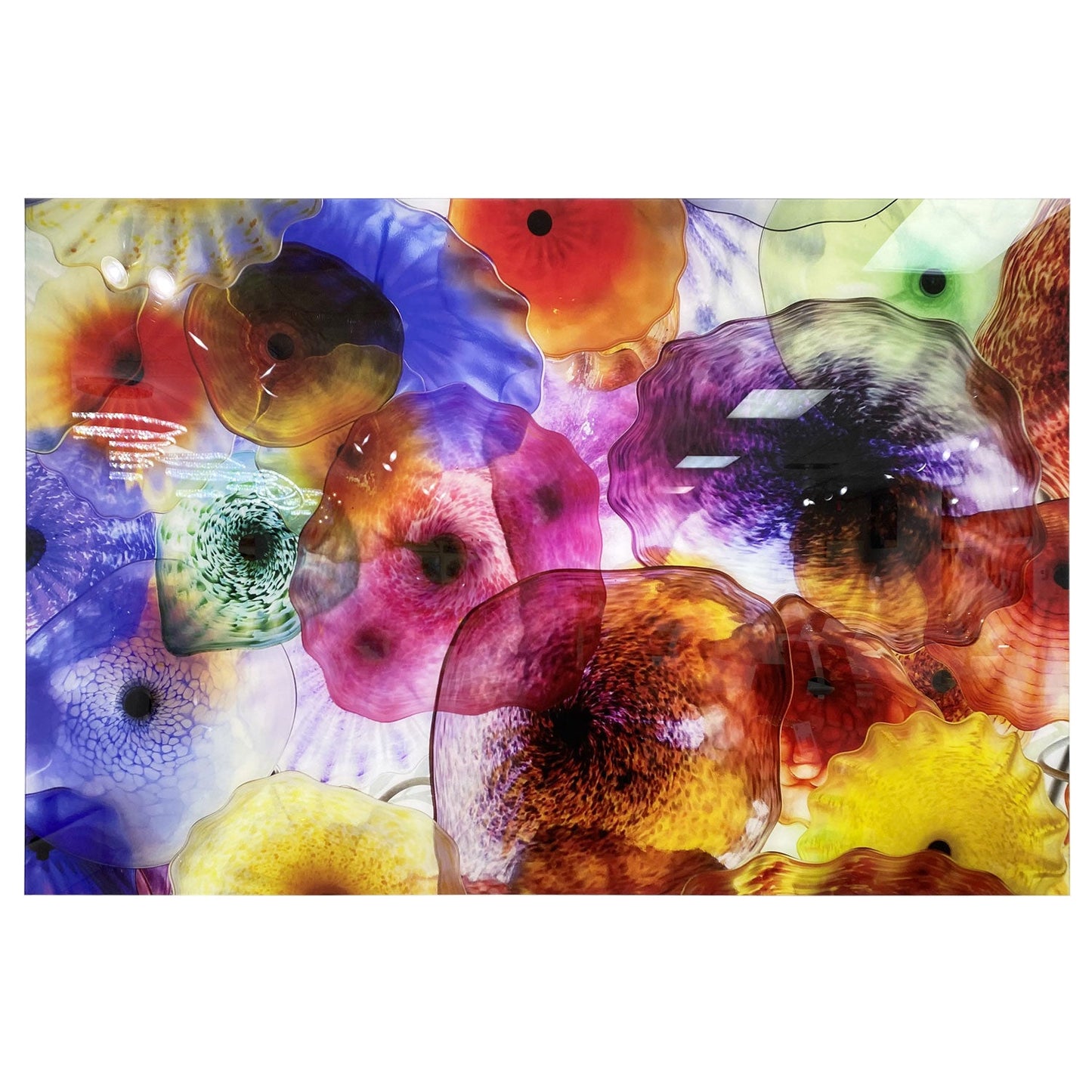 JELLYFISH Glowing in the Dark Wall Art Print