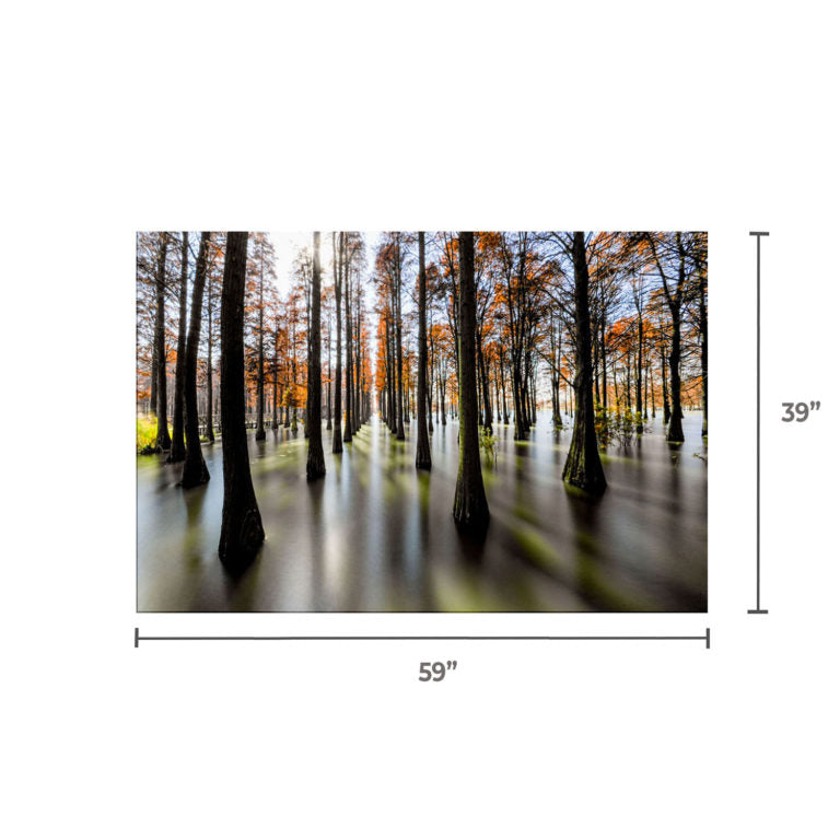 GWEN Forest Trees Wall Art Print