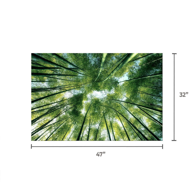 BAMBOO Forest Trees Wall Art Print