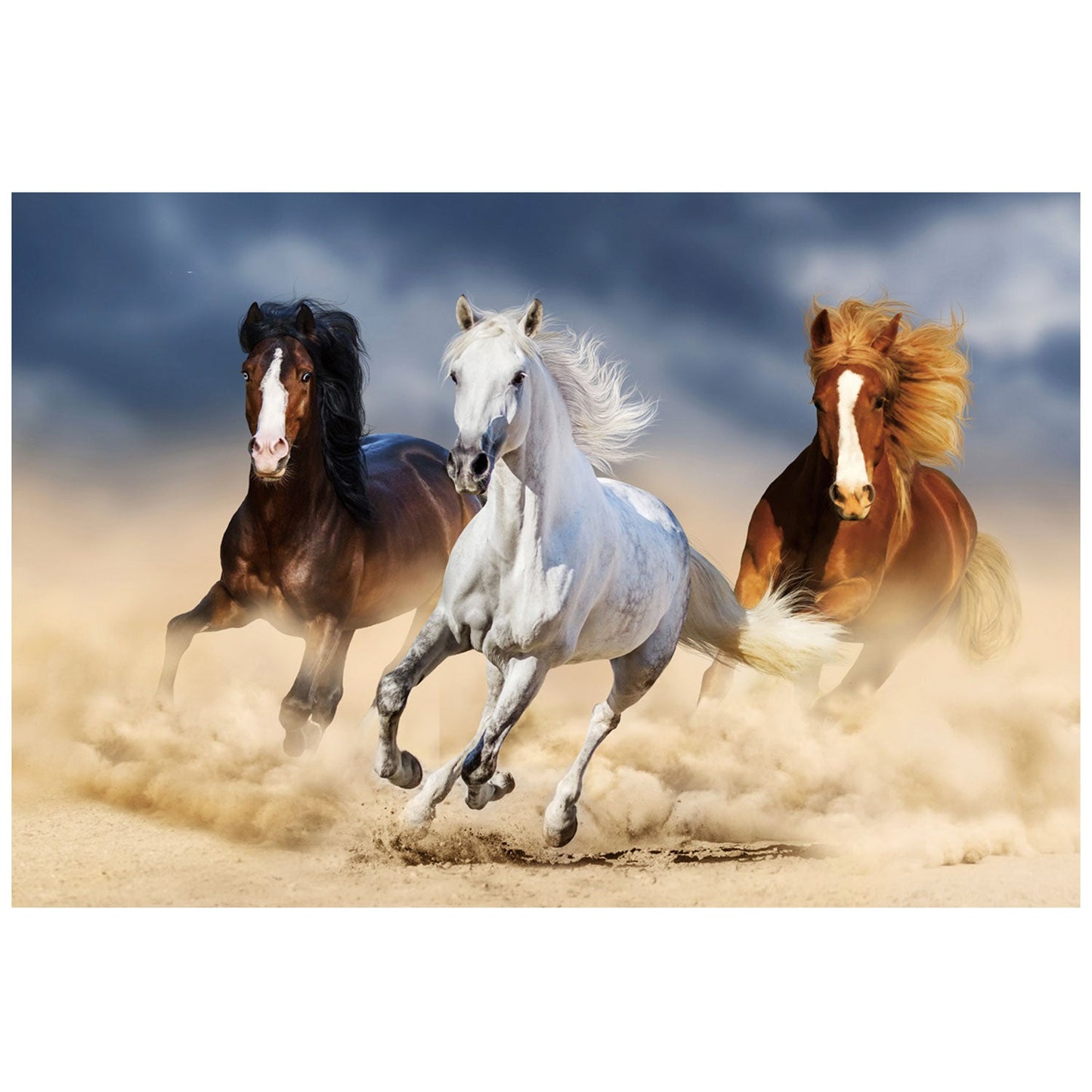 FAWN Horses on the Run Wall Art Print