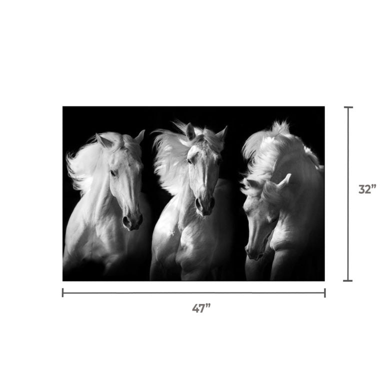 RAYE 3 White Horses Wall Art Print