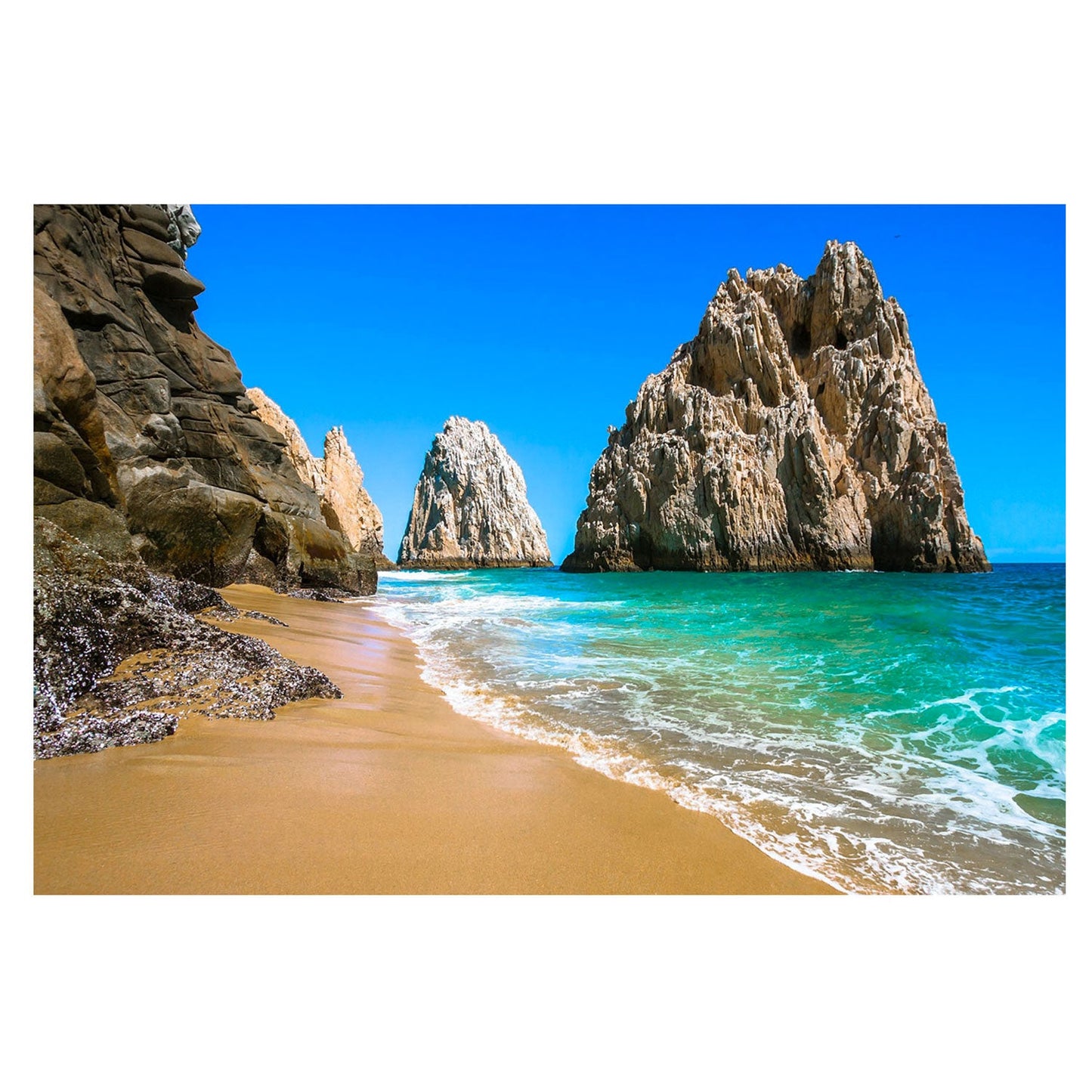 CABO San Lucas Beach Wall Art Print