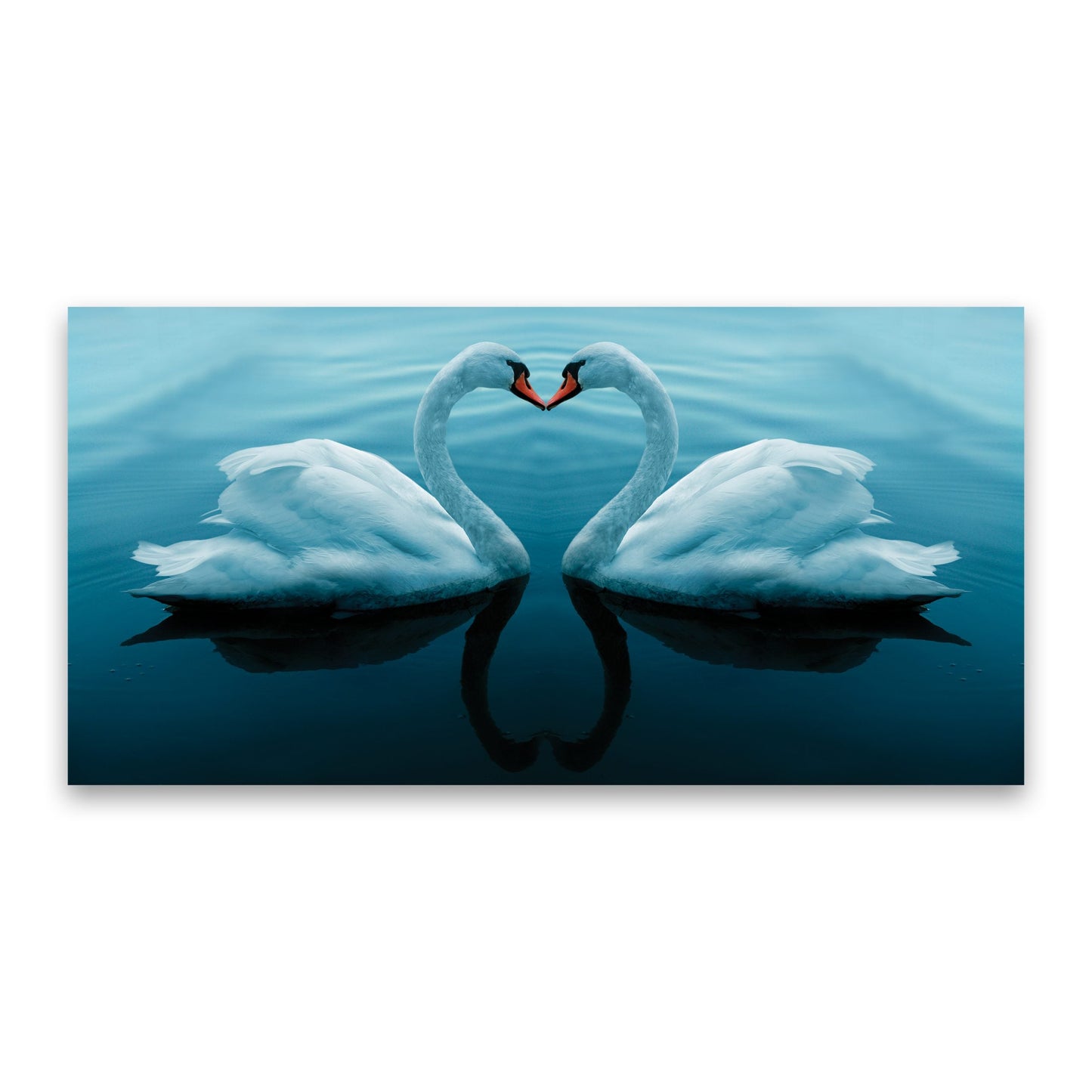 SWAN Whispers of Love Modern Wall Art