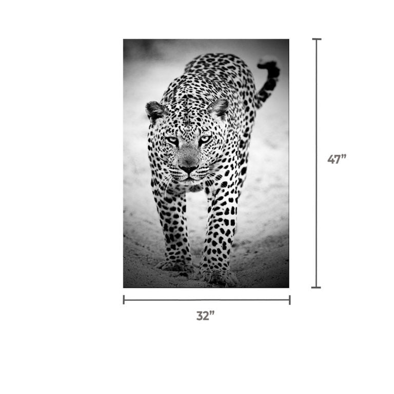 TATE Black & White Leopard Wall Art Print