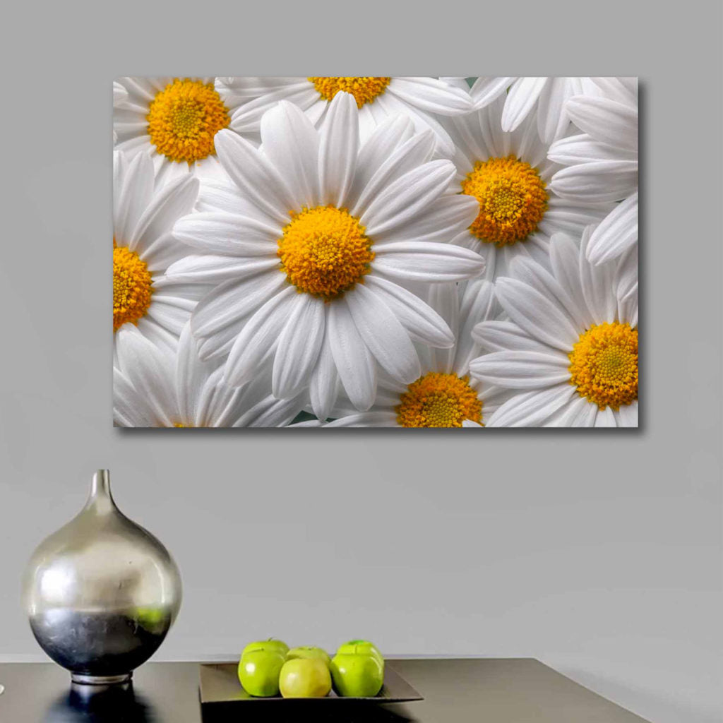 SUNNY White Daisy Modern Wall Art