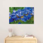 ORCHIDS Blue Flower Modern Wall Art