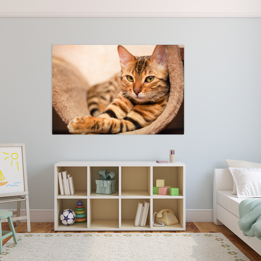 KITTEN Bengal Cat Wall Art Print