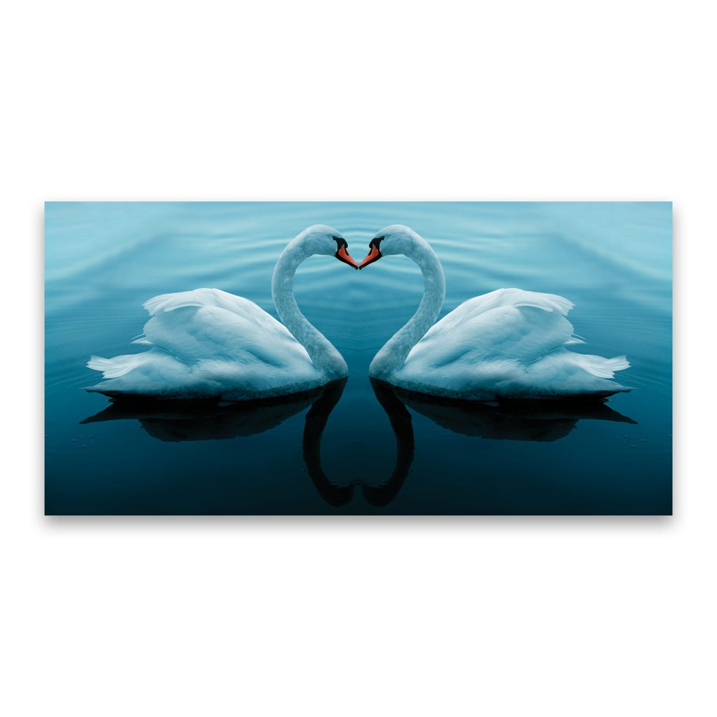 SWAN Whispers of Love Modern Wall Art