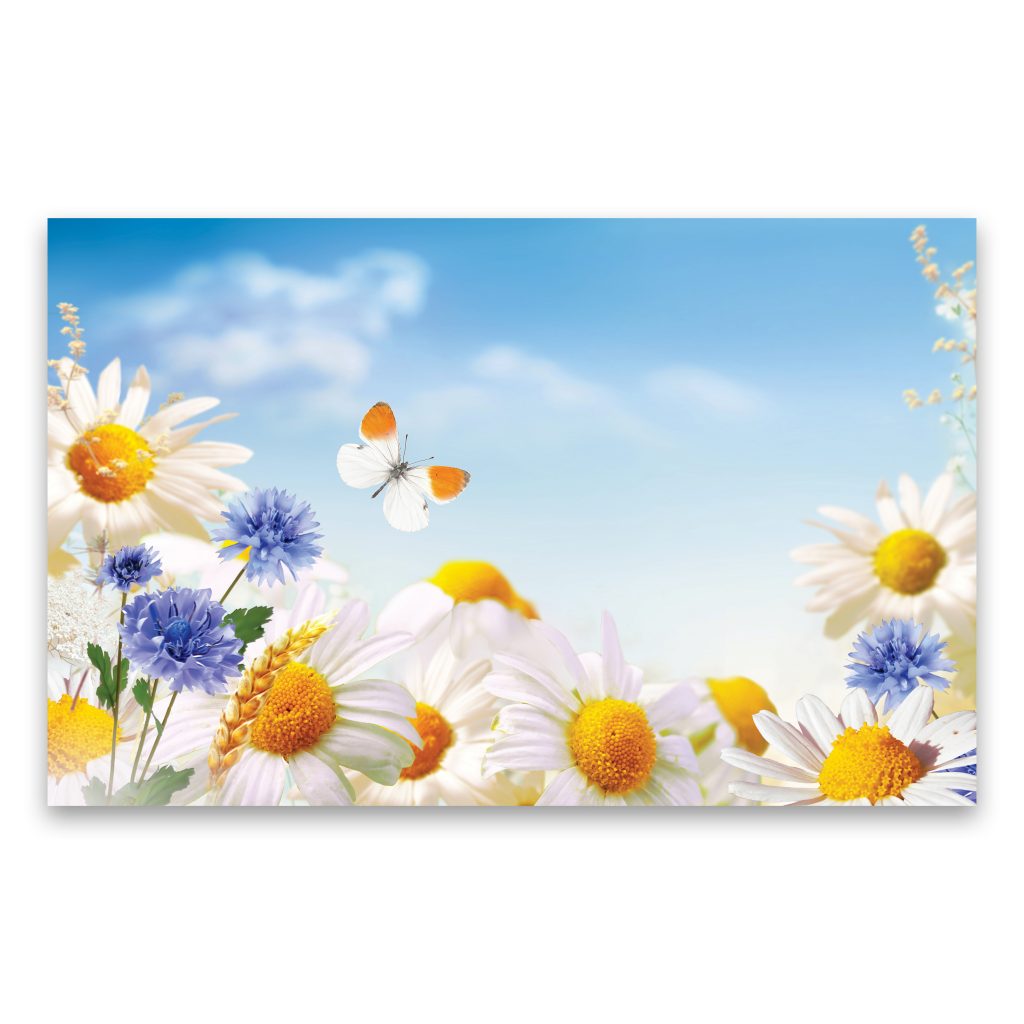 DAISY Delicate Floral Modern Wall Art